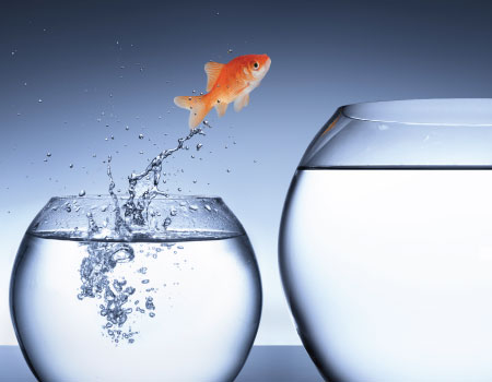 Image of goldfish jumping from small to larger fish bowl