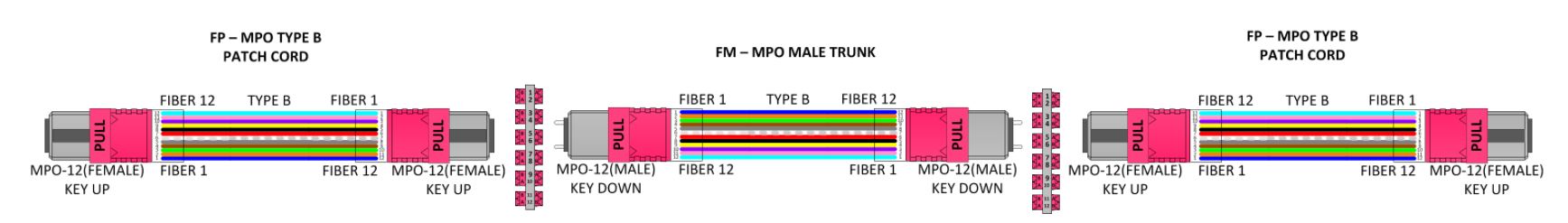 How-To-Rules-of-Fiber-Polarity-Example-4