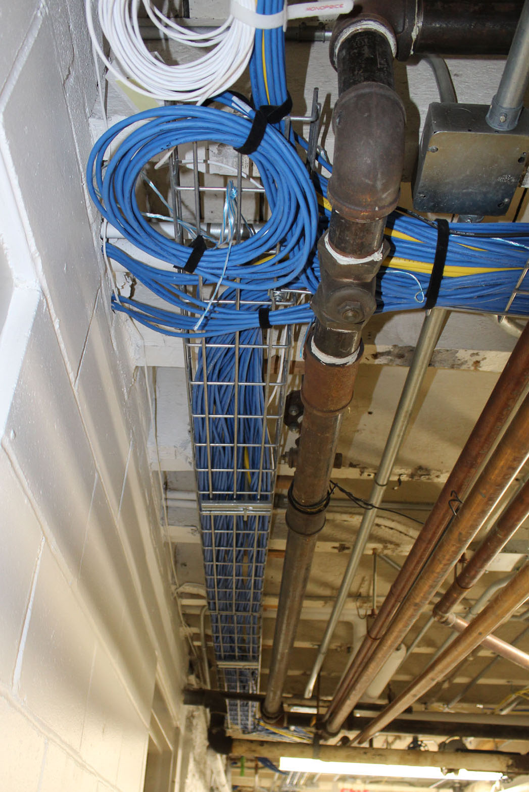 Dubuque County Courthouse case study cabling