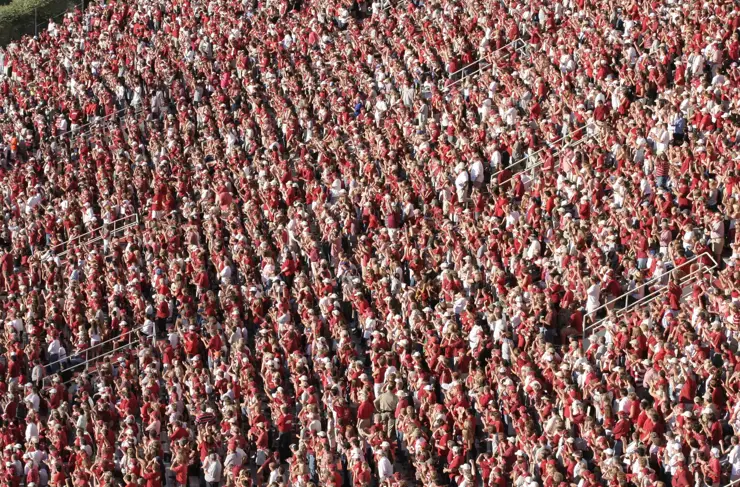 stadium-fans-blog-hero-shutterstock_5026390