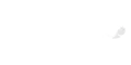 partner logo_white_300x150_2025_04_capgemini