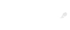 partner logo_white_300x150_2025_04_capgemini