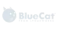 partner logo_light gray_300x150_2025_07_bluecat
