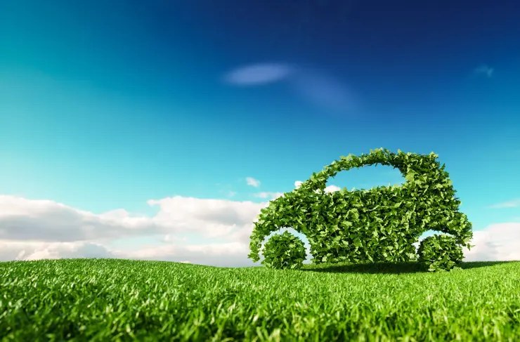Green-Leaf-Car-Stock-Image