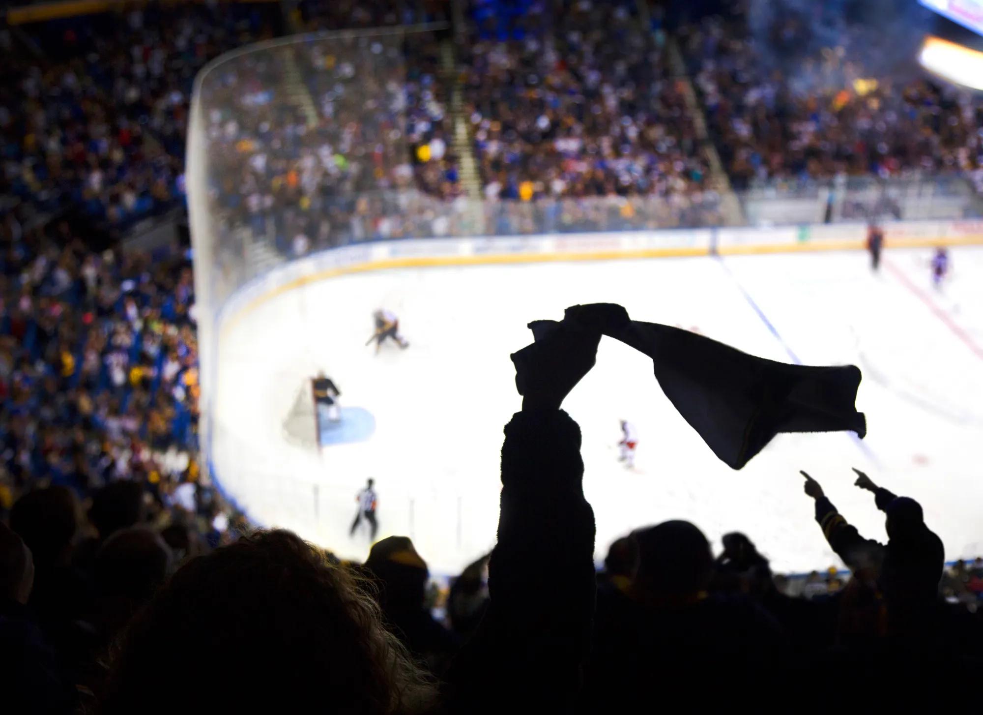 Cheering a goal at Ice hockey.