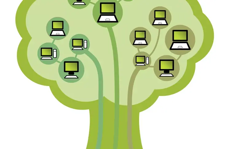 green-connectivity-treeshutterstock_33854242