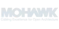Irokesen-Logo-2024-11_light grau