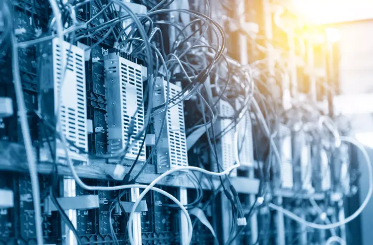 Complex Cabling Network Servers Back and White Image