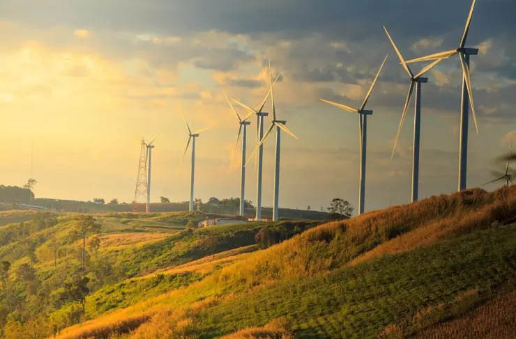 wind turbines on sunny morning