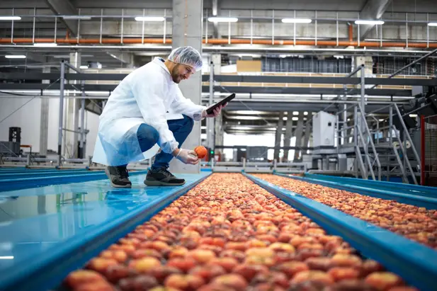 技术专家与平板电脑站在水箱输送机旁，对食品加工厂的苹果果实生产进行质量控制。