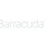 partner logo_light gray_300x150_2025_07_barracuda