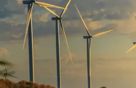 windmill farm in sunset